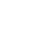 TheFoxTan_Logo 1